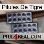 Tiger Pills 31